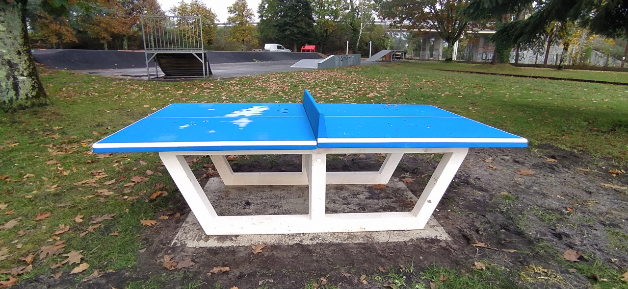 Image d'illustration pour : Le projet du Conseil municipal des Jeunes réalisé et inauguré !