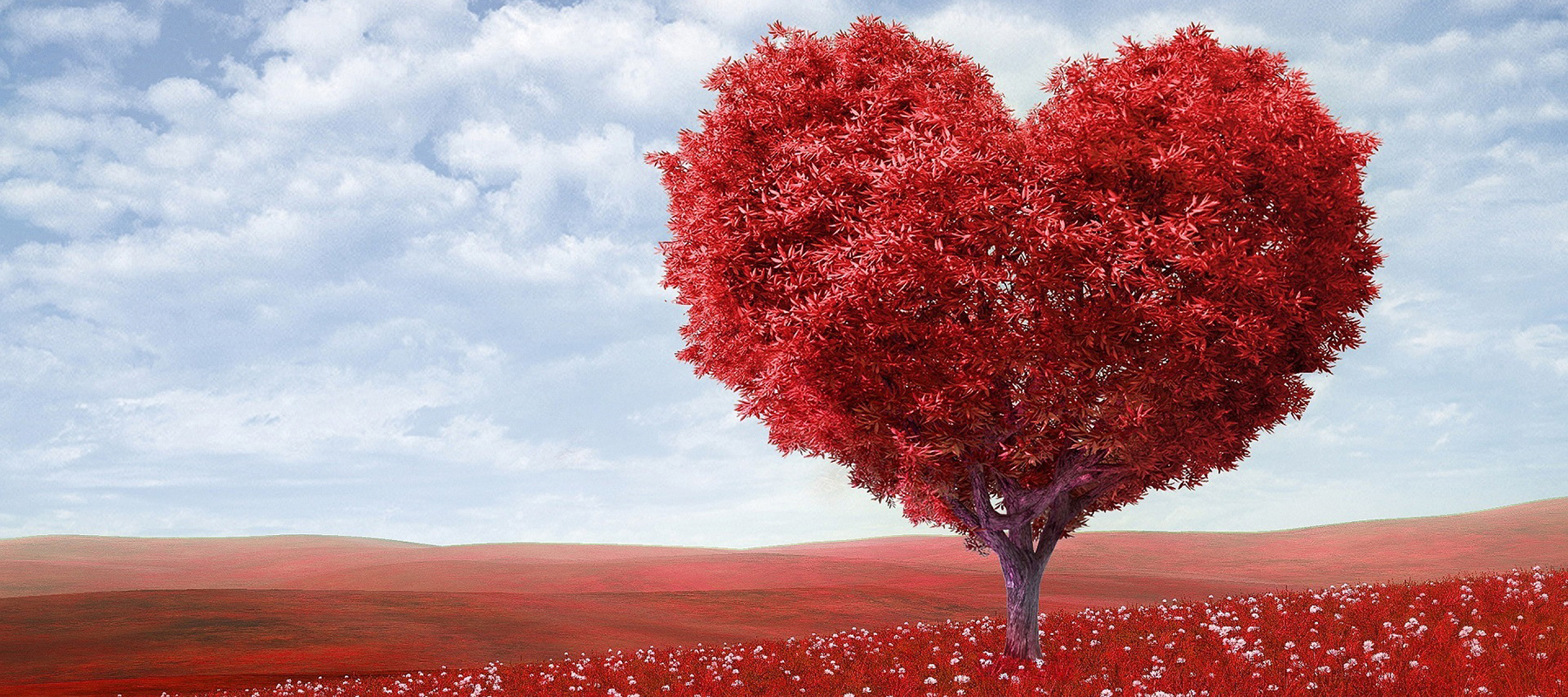 arbre coeur.jpg