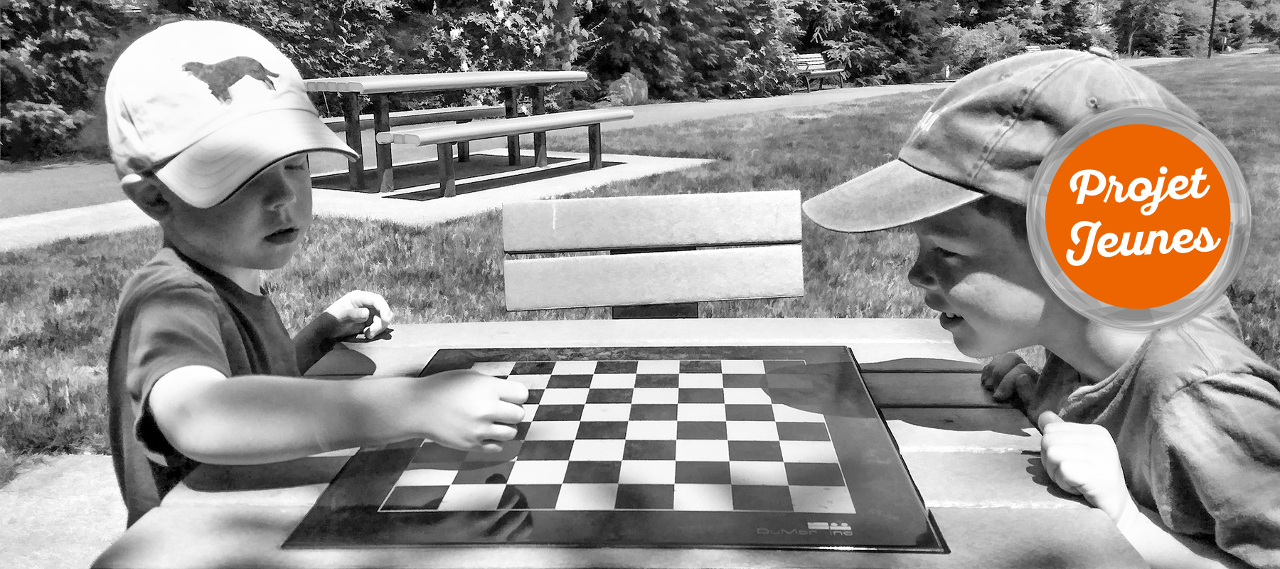 table parc jeu echecs.jpg