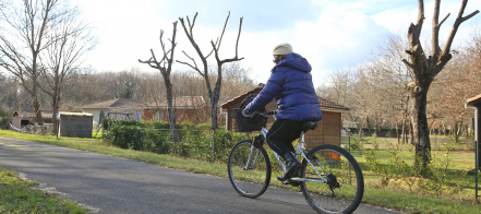 velo voie verte.jpg