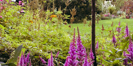 Image d'illustration pour : n° 30807 - Réhabilitation des jardins originels d’Abbesse