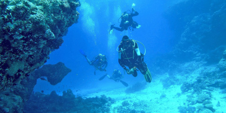 Image d'illustration pour : n° 30792 - Aider au développement de la vie marine sur la côte landaise