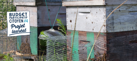 Image d'illustration pour : n° 30788 - Sensibilisation à l'apiculture et accès pour tous