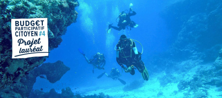 Image d'illustration pour : n° 30792 - Aider au développement de la vie marine sur la côte landaise
