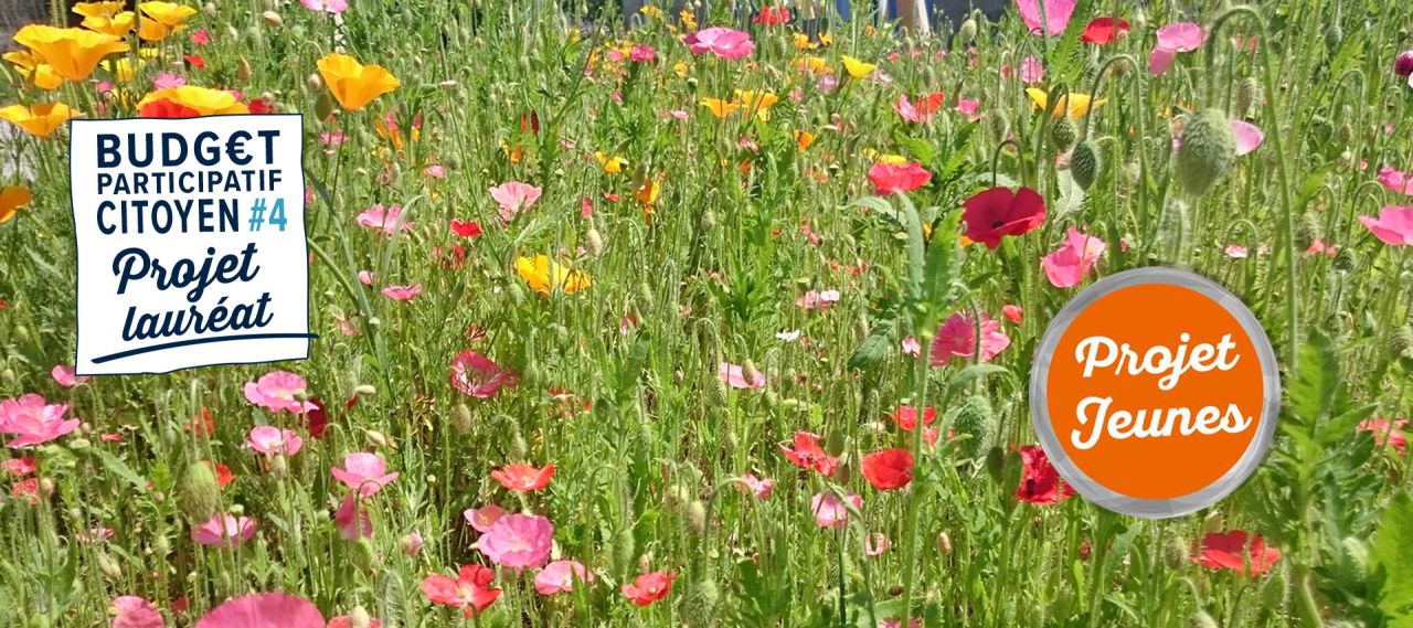 Image d'illustration pour : n° 30834 - Du jardin à la boutique, promouvoir les fleurs locales