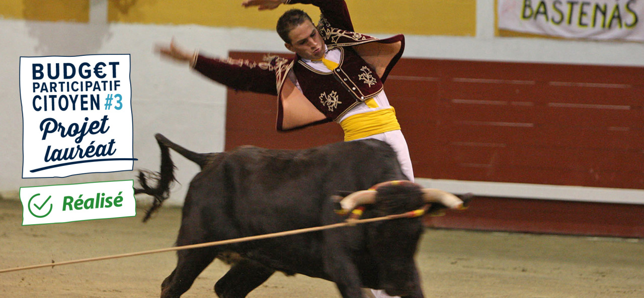 Image d'illustration pour : n°20843 - Création d'un centre d'interprétation de la course landaise