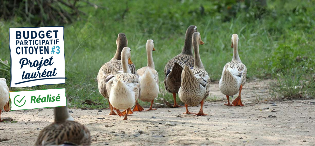 Image d'illustration pour : n°20596 - Création d'une ferme pédagogique au sein d'un EHPAD