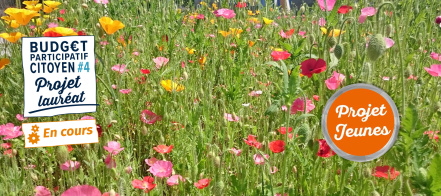 Image d'illustration pour : n° 30834 - Du jardin à la boutique, promouvoir les fleurs locales