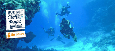 Image d'illustration pour : n° 30792 - Aider au développement de la vie marine sur la côte landaise