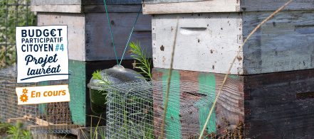 Image d'illustration pour : n° 30788 - Sensibilisation à l'apiculture et accès pour tous